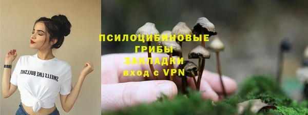 амф Няндома
