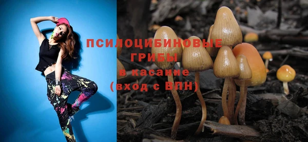 мяу мяу мука Алексин
